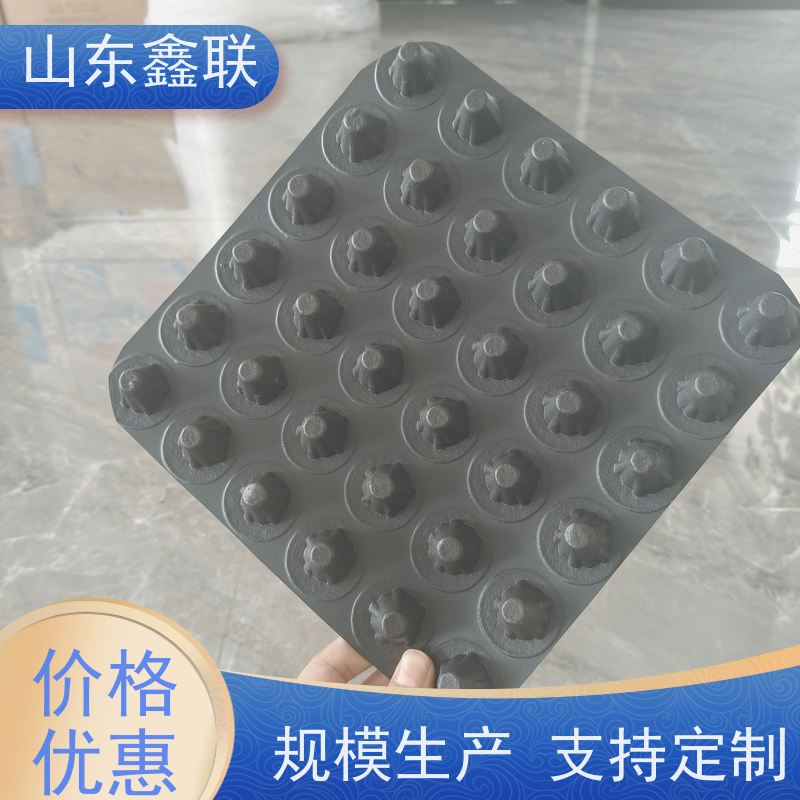 鑫联 20大杯口蓝色底板专用 塑料凸片排水层 专注生产供应 PE疏水板