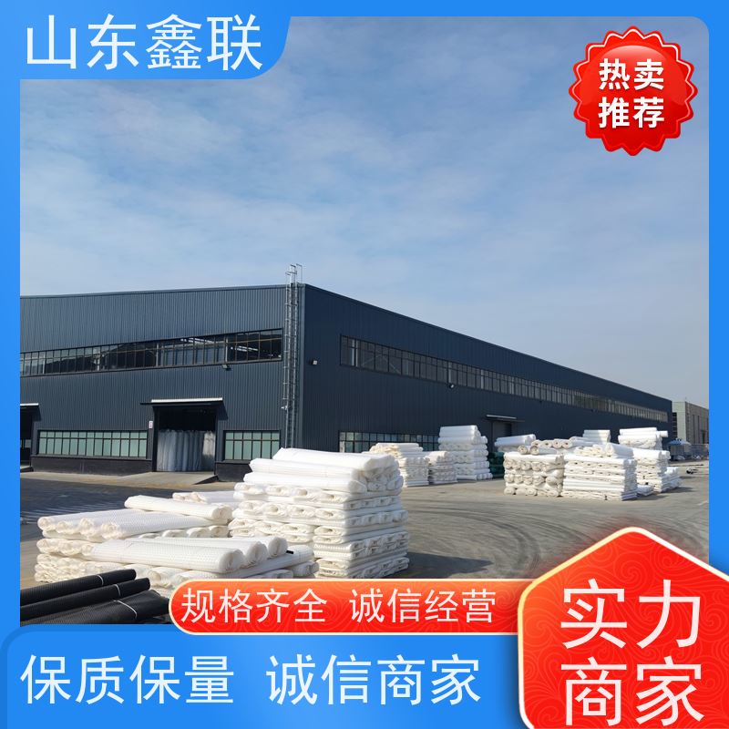 鑫联 40高3*10 塑料凸片排水层 大厂实力批发 PE排蓄水板