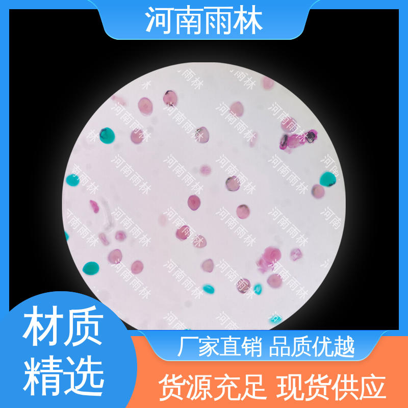 植物标本 颜色鲜亮 厂家销售 可后期加工 雨林教育工程