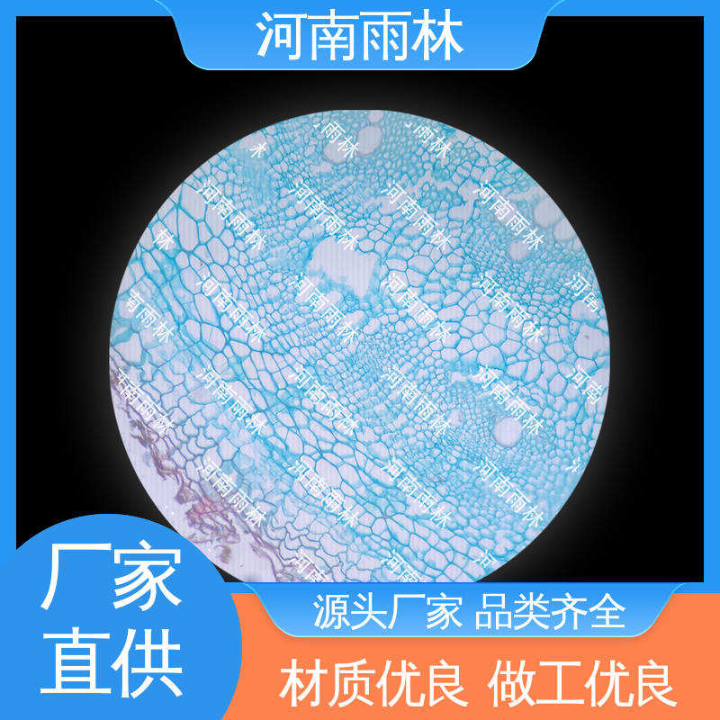 雨林教育 个性化定做 病害标本 售后无忧 一对一质检