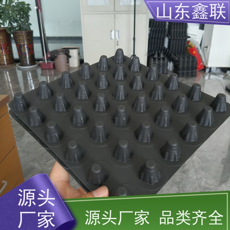 鑫联 14高复合一体 塑料凸片排水层 屋顶花园绿化 成品疏水板