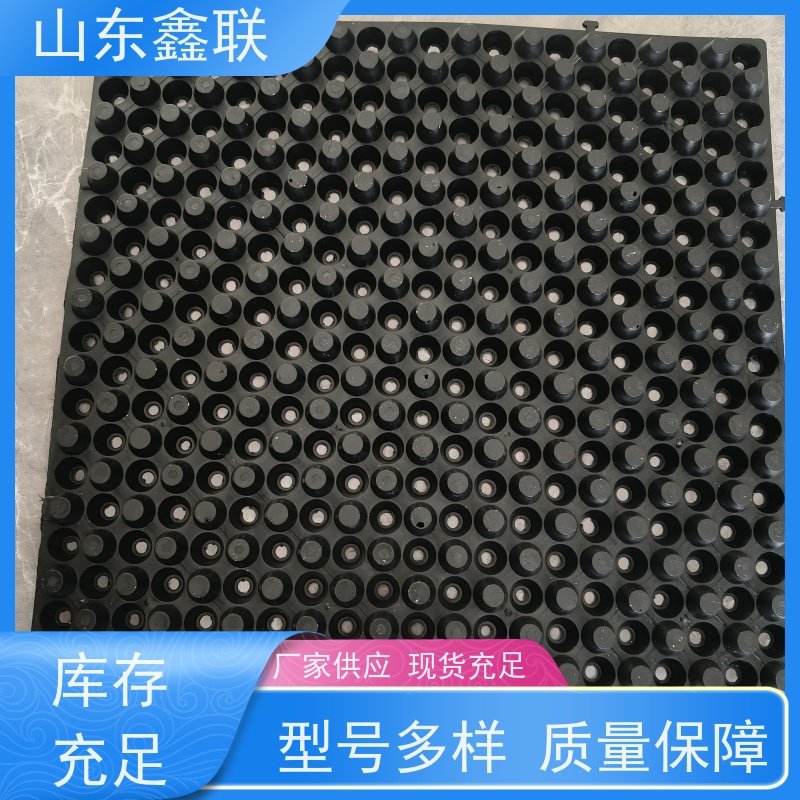 鑫联 50高黑色 塑料凸片排水层 百亩面积厂商 PE疏水板