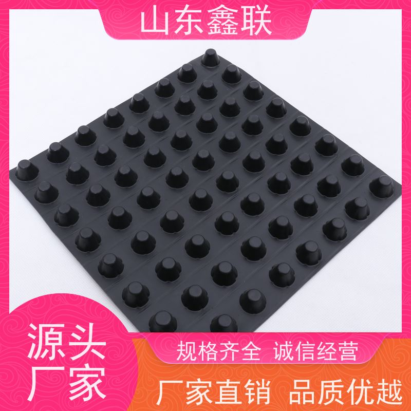 鑫联 黑色国标料 塑料凸片排水层 科研创新 成品疏水板