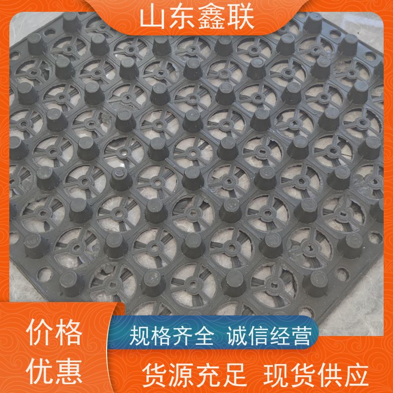 鑫联 3公分高 塑料凸片排水层 百亩面积厂商 PE排蓄水板
