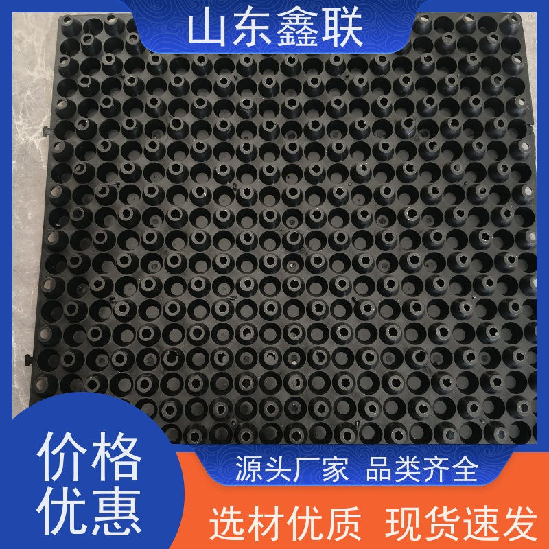鑫联 爆卖百万平方 塑料凸片排水层 百亩面积厂商 PE疏水板