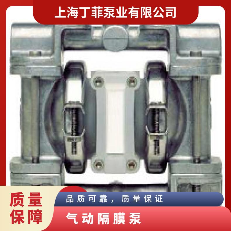 XH800/SSSAA/WFS/WF/SWF/0504 威尔顿金属隔膜泵P200 T8/WWAA