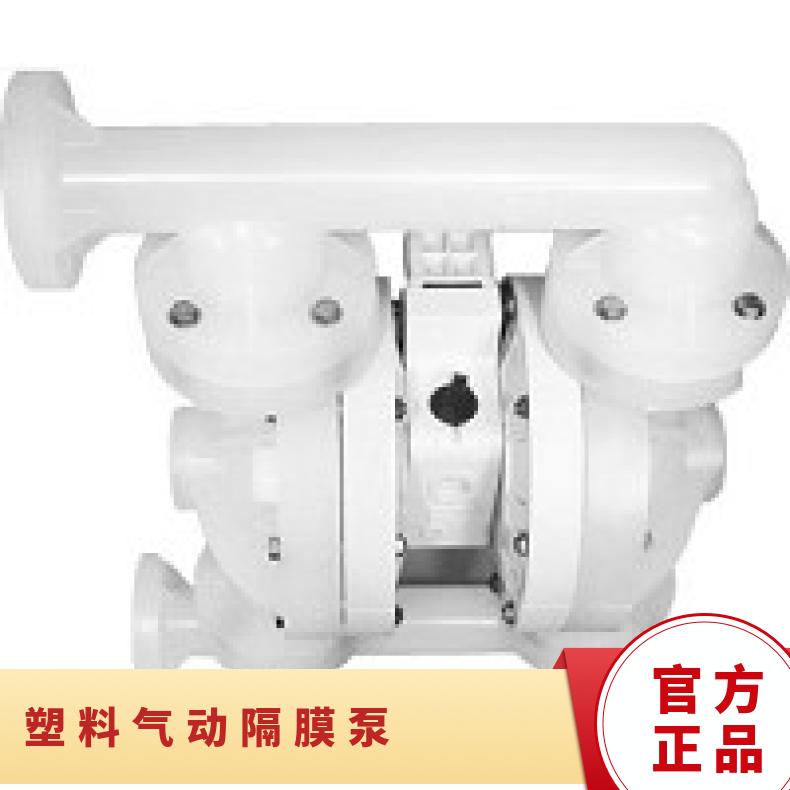 PX200/SSAAA/TNU/TF/STF 塑料气动隔膜泵 8/WWAPP/NES/NE/