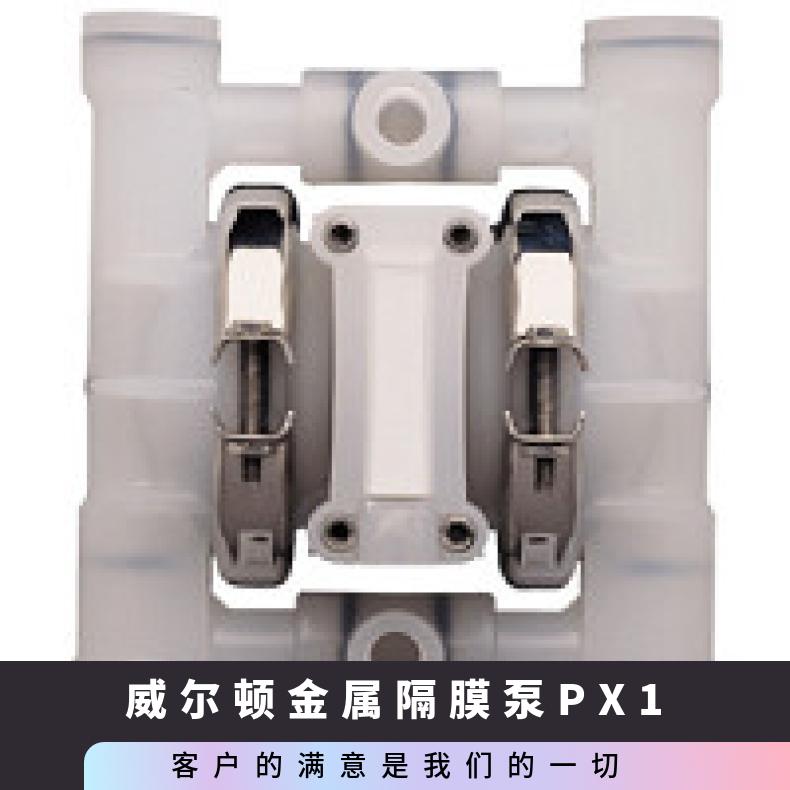 08-13953?? ?威尔顿wilden气动隔膜泵?? ?XPX8/SSAAA/FSS