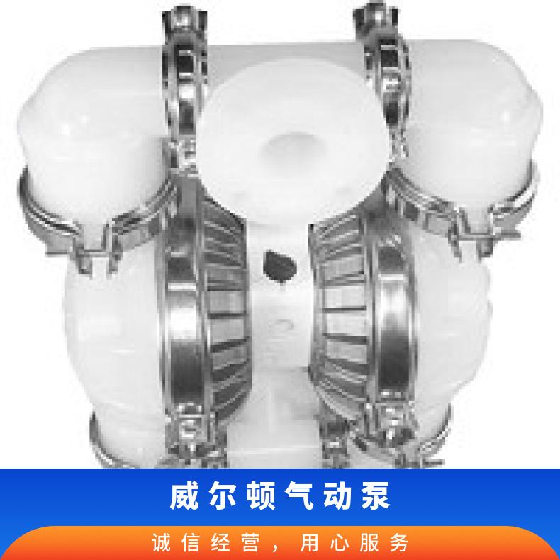 P200/AAPPP/NES/NE/ANE/0014 威尔顿气动泵 00-10066?? ?