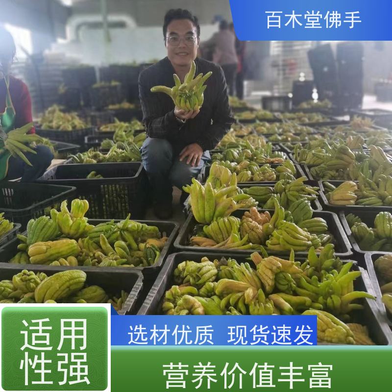 百木堂道路绿化行道苗半夏种植枝叶紧密 附加值高