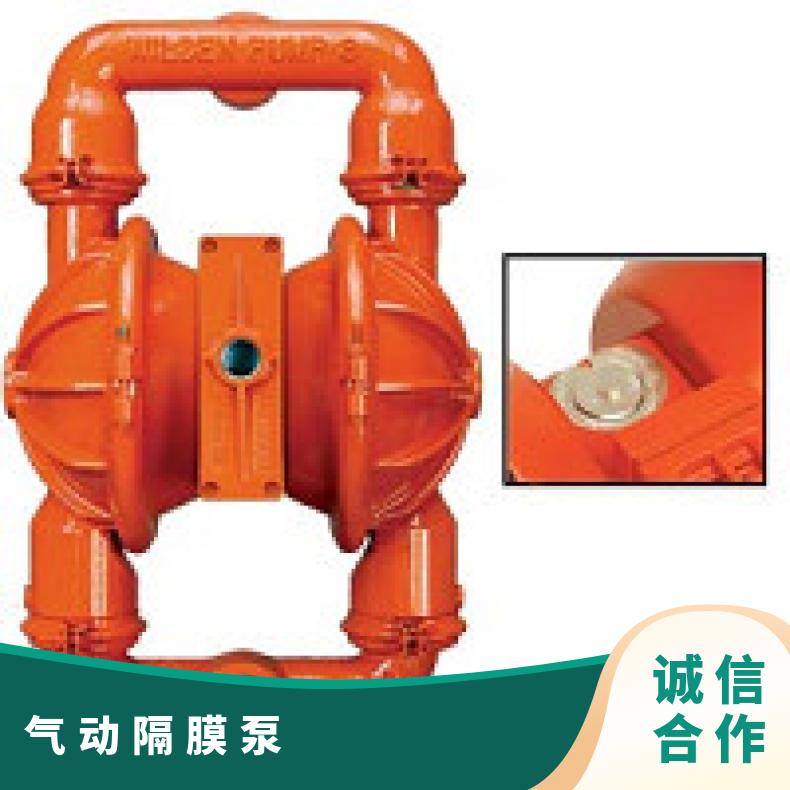 PX4/SSSSS/VTS/VT/ 威尔顿隔膜泵型号 08-13447?? ?