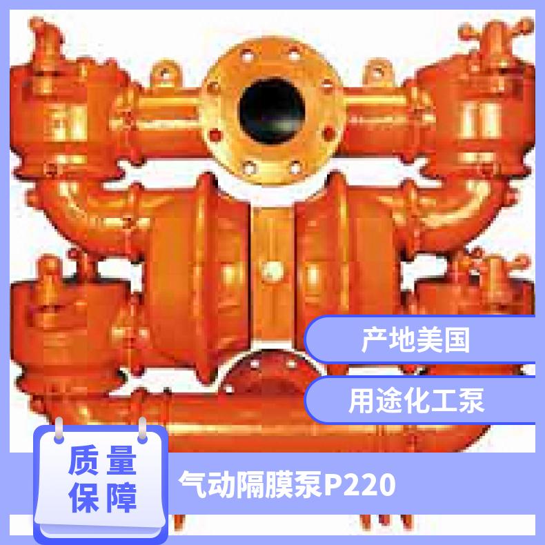 XPX1500/SSAAA/TEU/TF/STF/0504 WILDEN威尔顿气动隔膜泵 01-