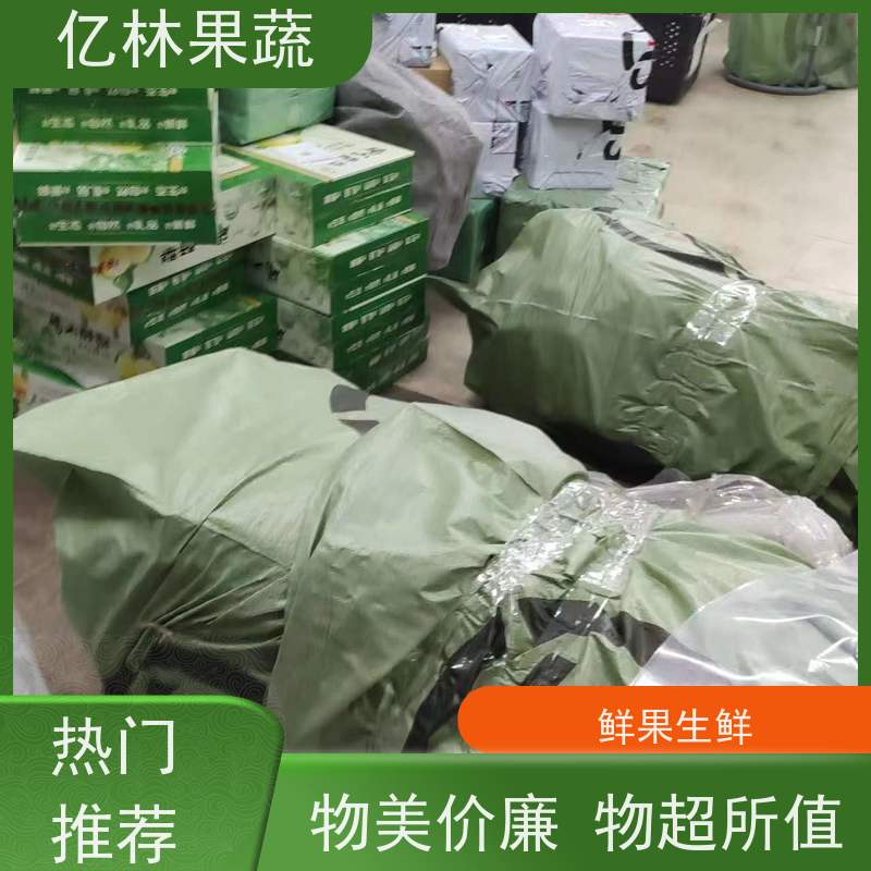 基地供应 黄桃苗 特产果树桃幼苗 易栽培桃树苗