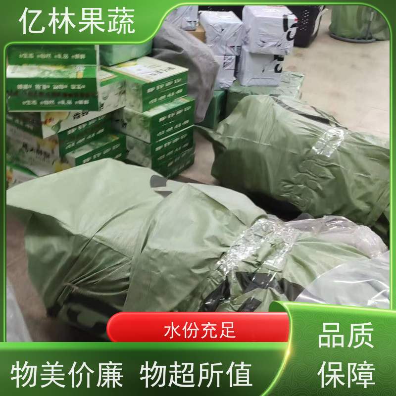亿林苗木 桃树苗 晚熟品种桃 口感脆甜 成活率高
