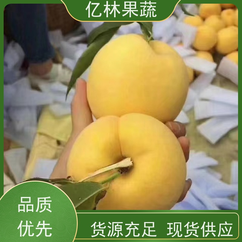 亿林苗木 黄桃苗 桃树果苗批发 自家园林 果实饱满味道好