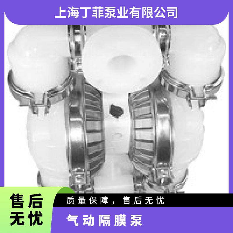 PX8/WWAAR/NEU/PU//0054 威尔顿塑料隔膜泵P25 08-11340?