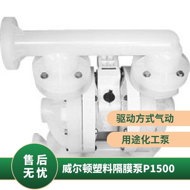 P200/AAPPP/NES/BN/ABN/0697 威尔顿塑料隔膜泵P1500 T8/AAAP