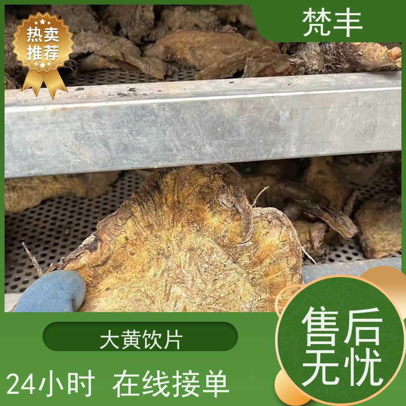 梵丰 大黄驯化 手选大片原材料 长期供应 诚信经营