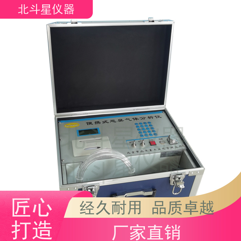 北斗星仪器 快速准确 经济实用 恶臭异味检测仪 pAir2000-EFF