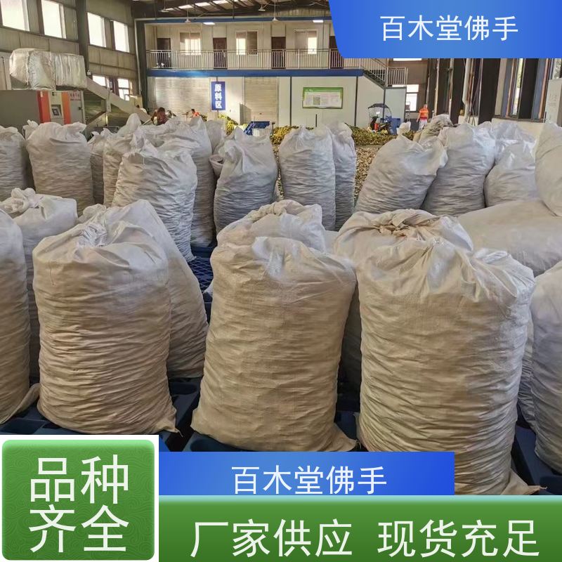 百木堂 佛手 植株茂密 生长迅速 中药材种植基地 