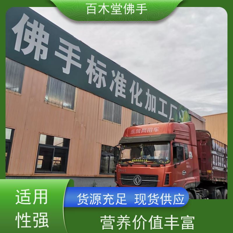 百木堂 重庆佛手 枝叶紧密 美丽多姿 种苗基地直供