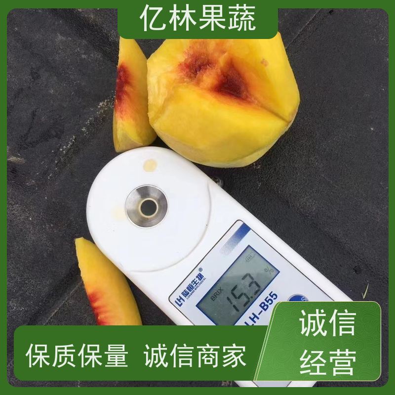 亿林苗木 秋彤桃 三公分现挖现发 品种齐全 成活率高