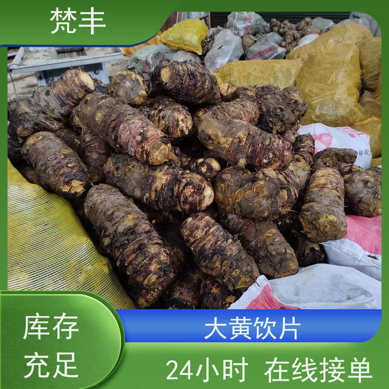 梵丰 大黄驯化 各种规格支持过筛 库存充足 成活率高