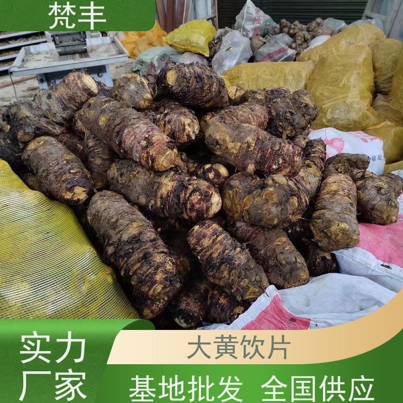 梵丰 大黄基地 中药材苗容易种活 长期供应 诚信经营