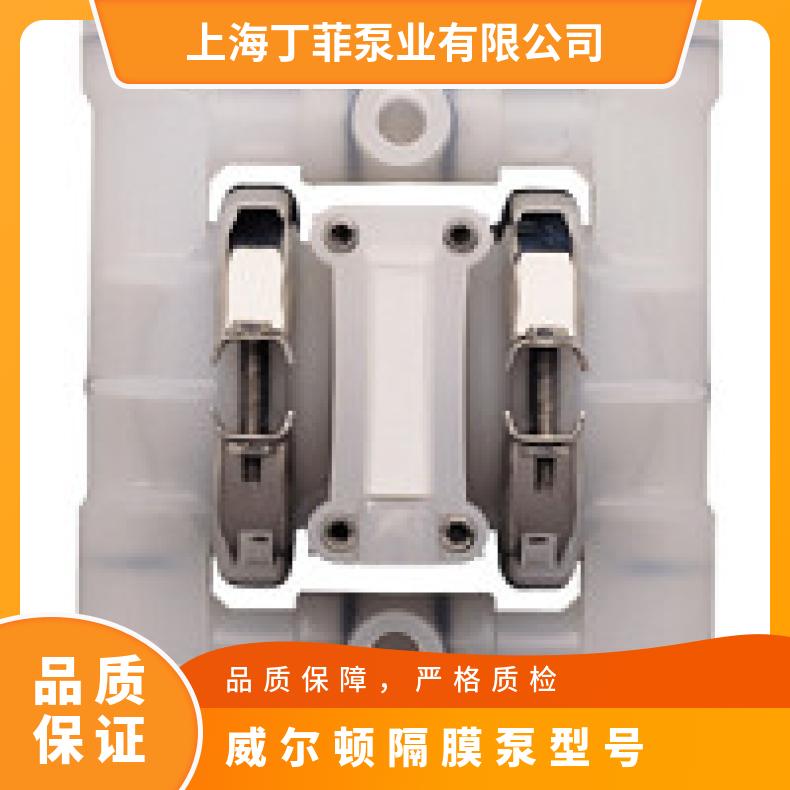 XP1/SSJJJ/TEU/TF/STF 威尔顿隔膜泵型号 XPX1/SSAAA/TNU//
