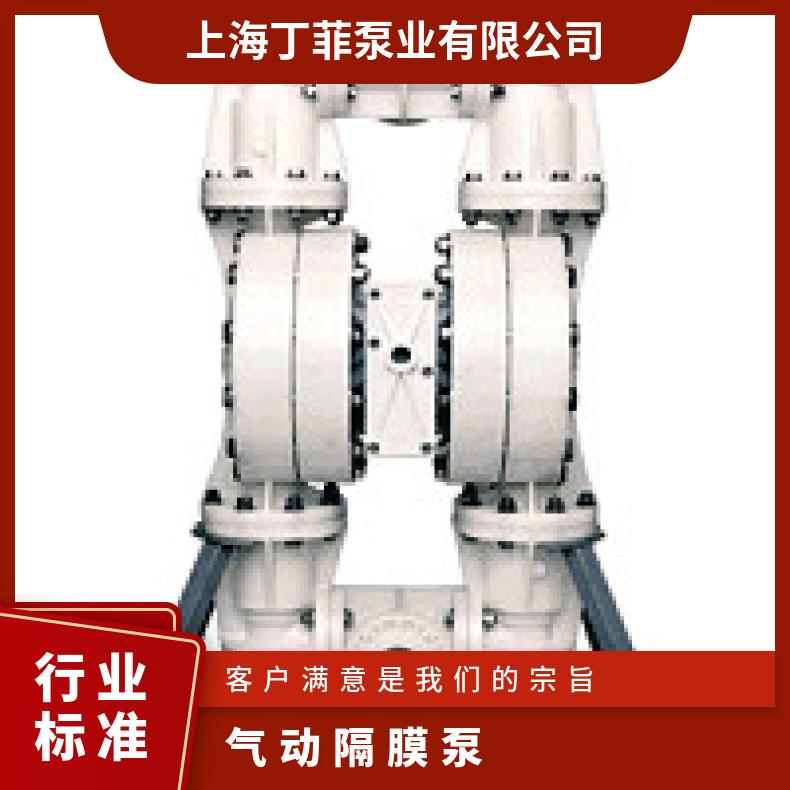 XPX1500/SSSSS/BNU/BN//0678 进口气动隔膜泵球 01-10907?