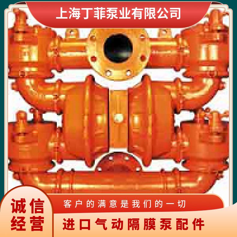 T8/AAAPB/NEU/NE//0050 进口气动隔膜泵配件 04-12544?? 