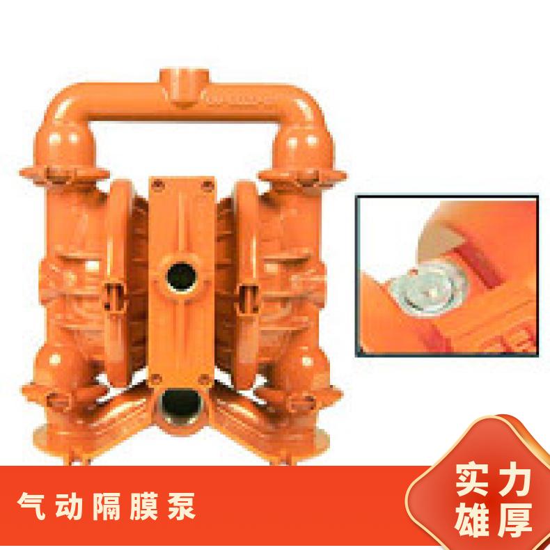 XPX200/AAAAA/WFS/WF/AWF/0687 威尔顿P1系列塑料气动隔膜泵 