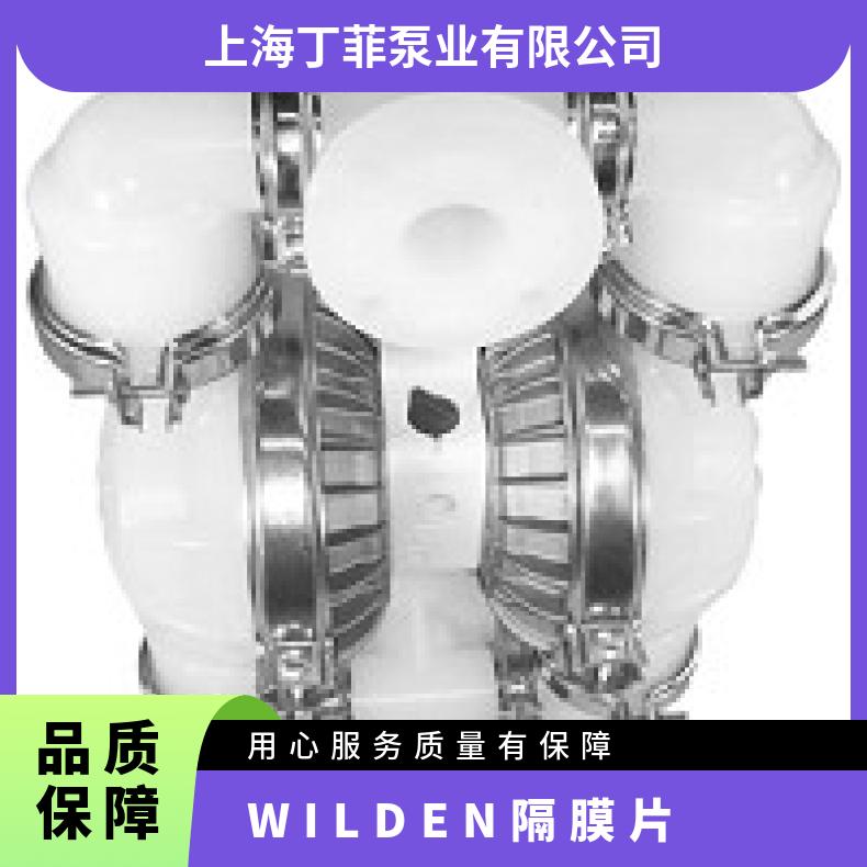 04-11875?? ?威尔顿wilden气动隔膜泵?? ?XPX400/SSAAA/T