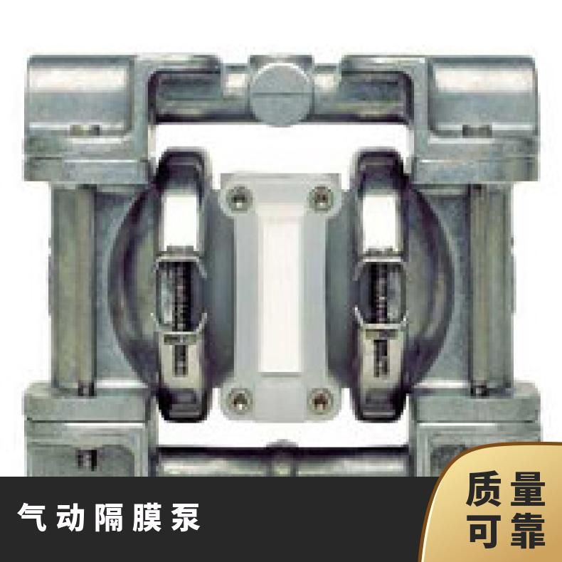 P1/SSPPP/TEU/TF/STF 进口食品级隔膜泵 XP1/AAGGG//TF/A