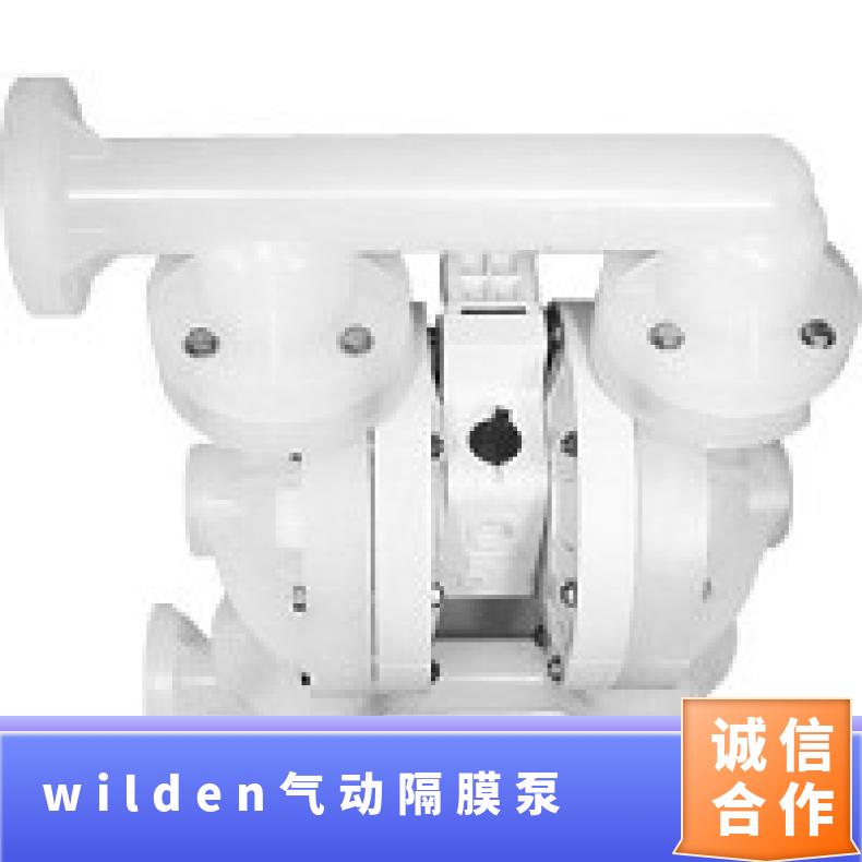 02-11339?? ?威尔顿wilden气动隔膜泵?? ?XP200/SSJJJ/TE