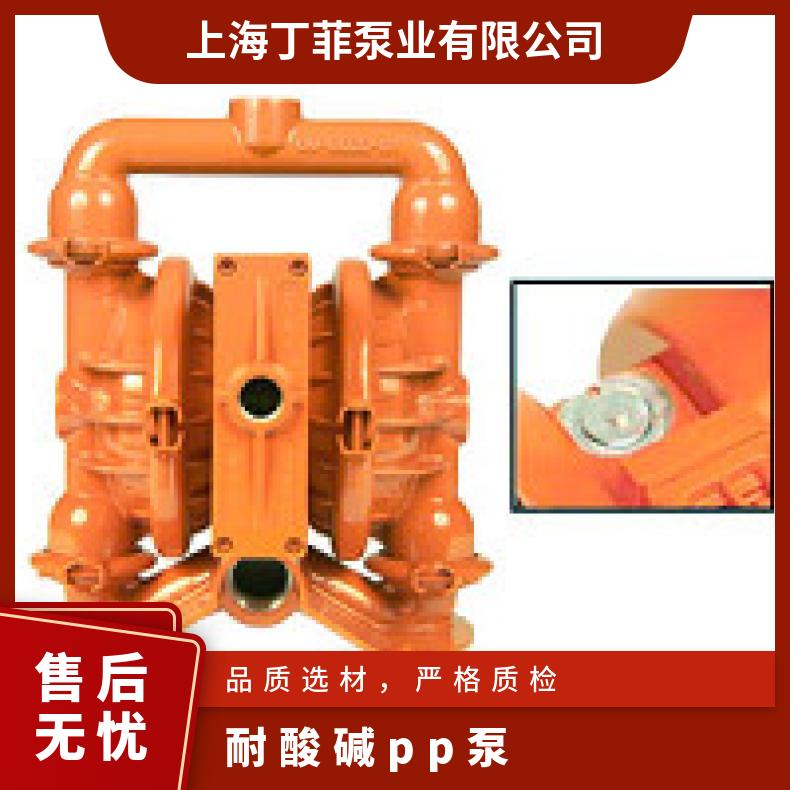 XPX2/SSNNN/FSS/FS/FE/0770 威尔顿塑料隔膜泵P025 P800/PKPP