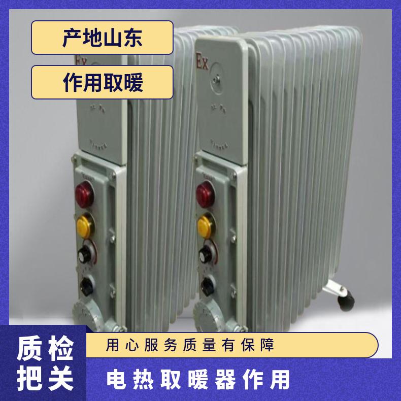 矿用隔爆兼增安型电热取暖器 将电能转化热 能来提供热量