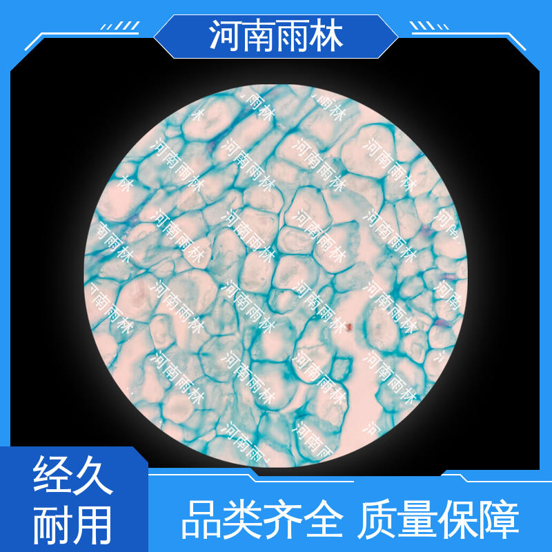 显微标本 可提供材料 源头工厂 品质优良 雨林教育工程