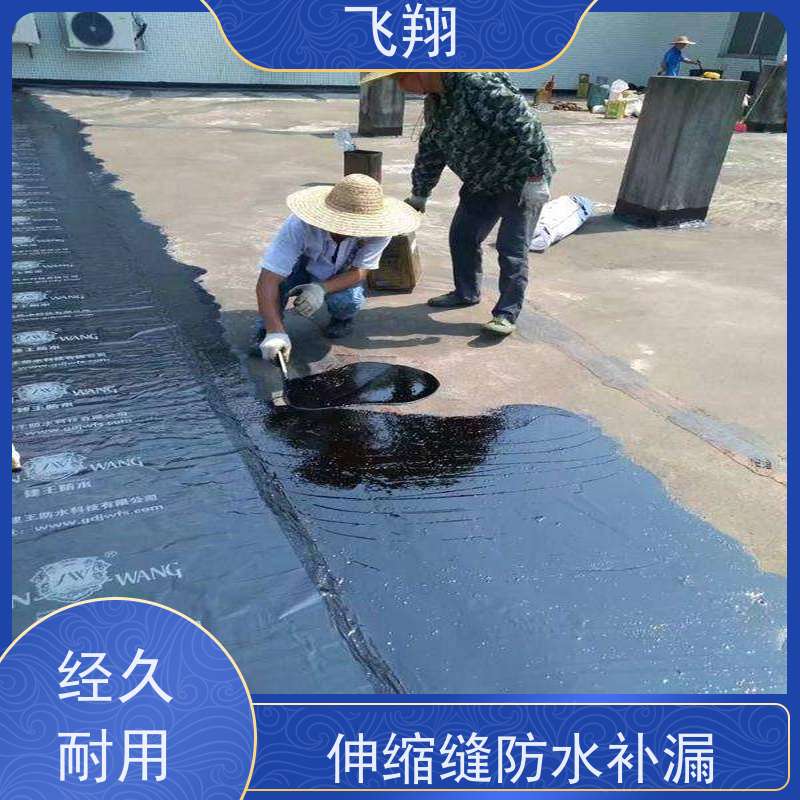 飞翔 卫生间防水补漏施工 上门服务 效率较高省成本 工期短 
