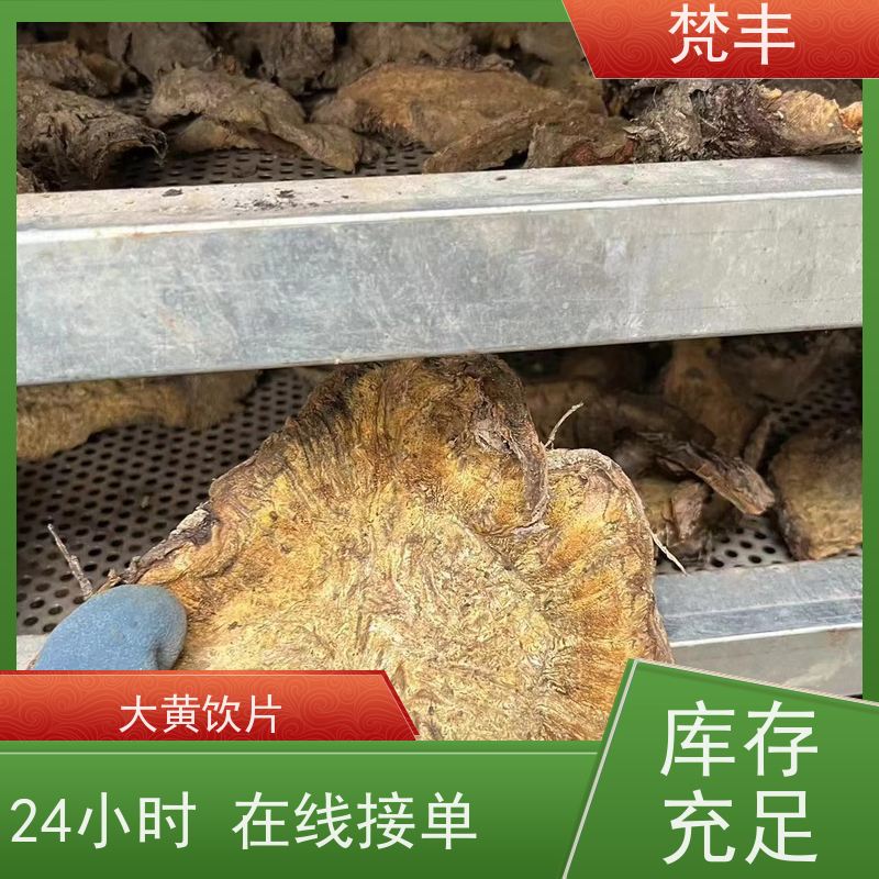 梵丰 大黄用途 抗虫害全国发货 库存充足 成活率高