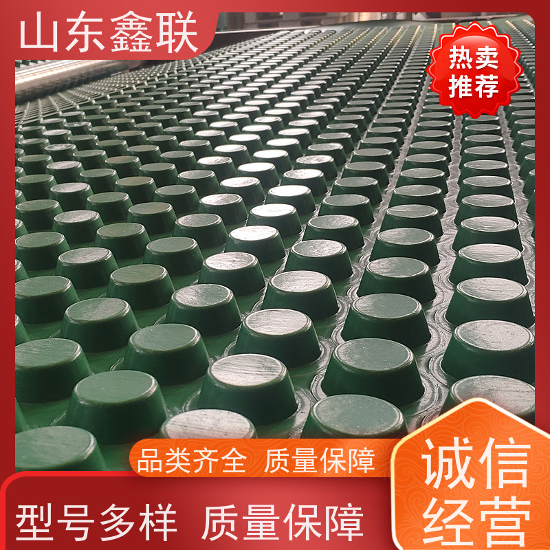 鑫联 白色全新料 塑料凸片排水层 屋顶花园绿化 PE疏水板
