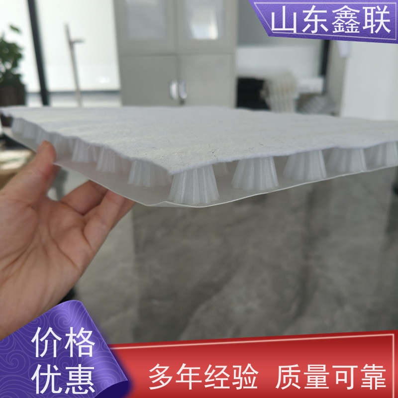 鑫联 25高卷材 塑料凸片排水层 大厂实力批发 成品疏水板