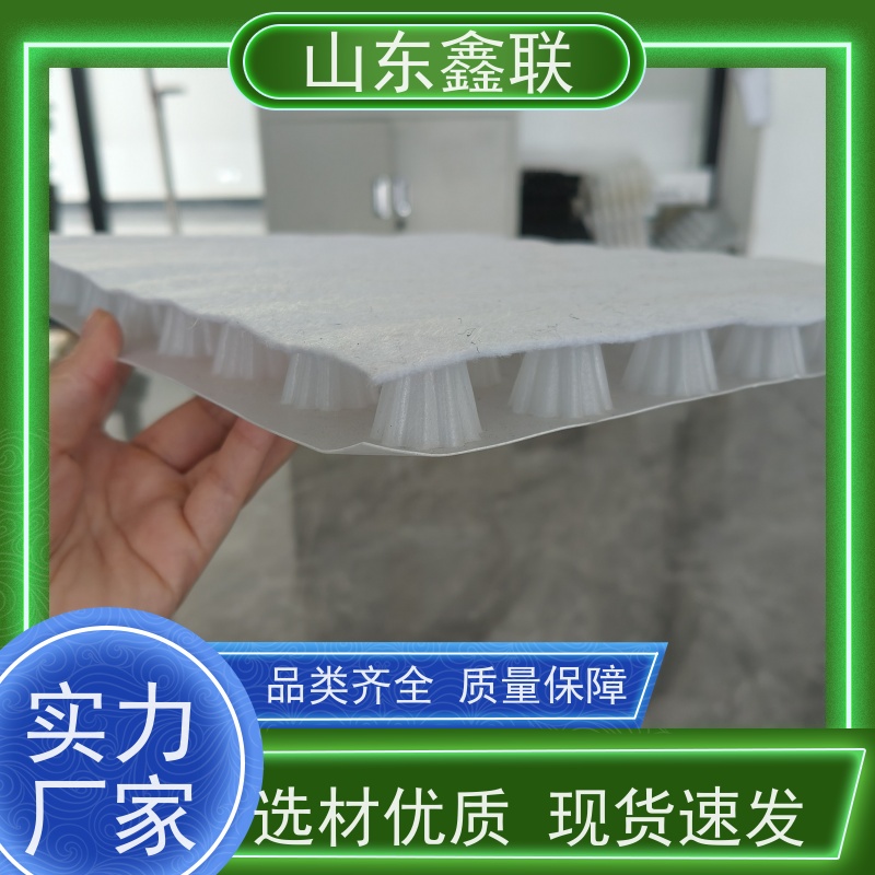 鑫联 14高复合一体 塑料凸片排水层 专注生产供应 厚滤水板