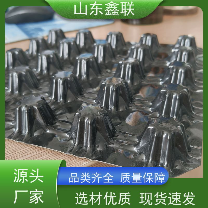 鑫联 25高卷材 塑料凸片排水层 专注生产供应 成品疏水板