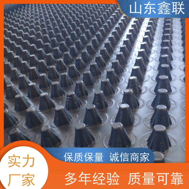 鑫联 3公分高 塑料凸片排水层 专注生产供应 成品疏水板