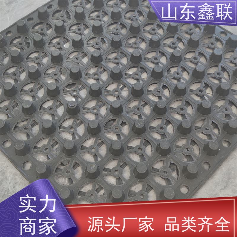 鑫联 40高3*10 塑料凸片排水层 科研创新 PE疏水板