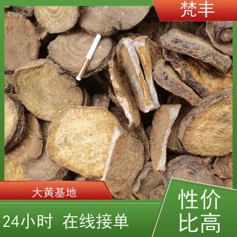 梵丰 大黄管理方法 成活率高 品质好 欢迎来电洽谈