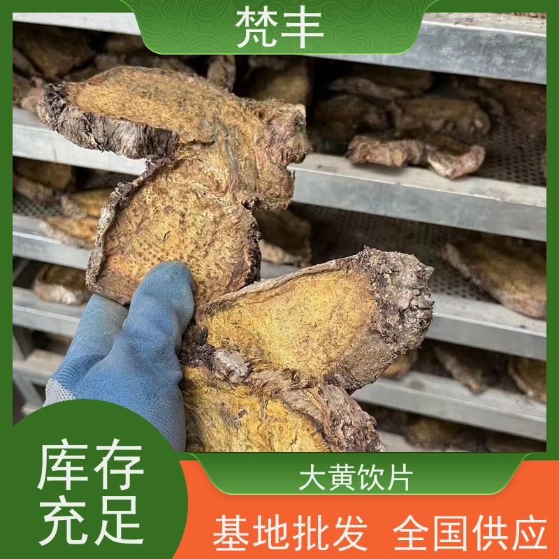 梵丰 大黄基地 中药材苗容易种活 库存充足 厂家供应