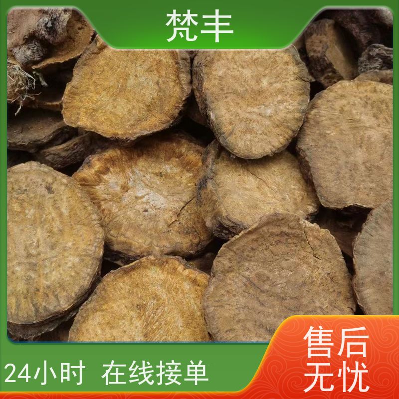 梵丰 大黄驯化苗 成活率高 品质好 长期供应 诚信经营