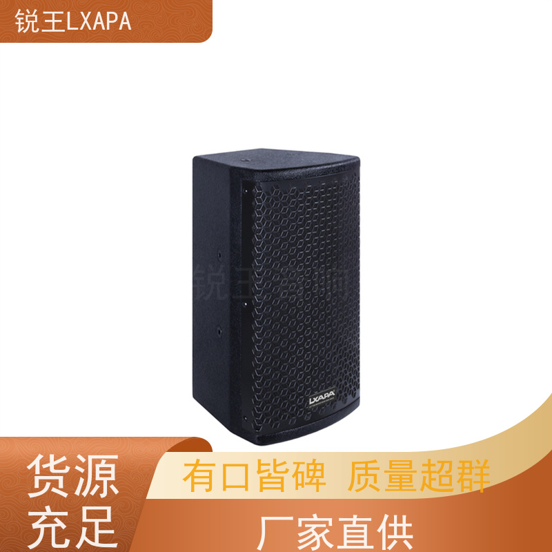 锐王LXAPA 机场车站 音箱喇叭 酒吧音响设备 会议音柱功放